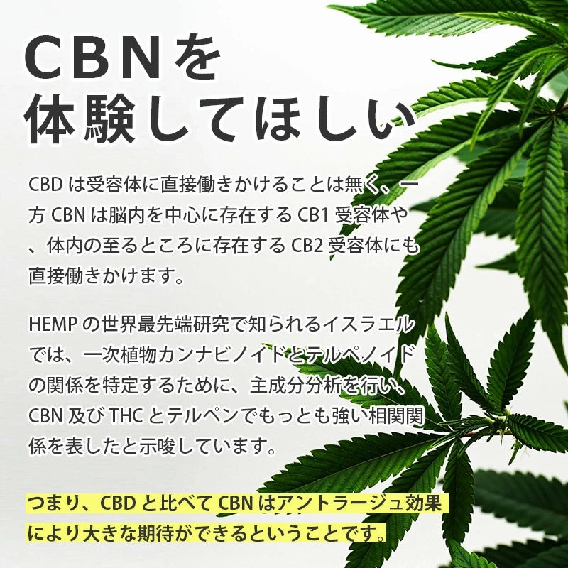 【VapeMania】Sour Diesel CBN42% 1ml