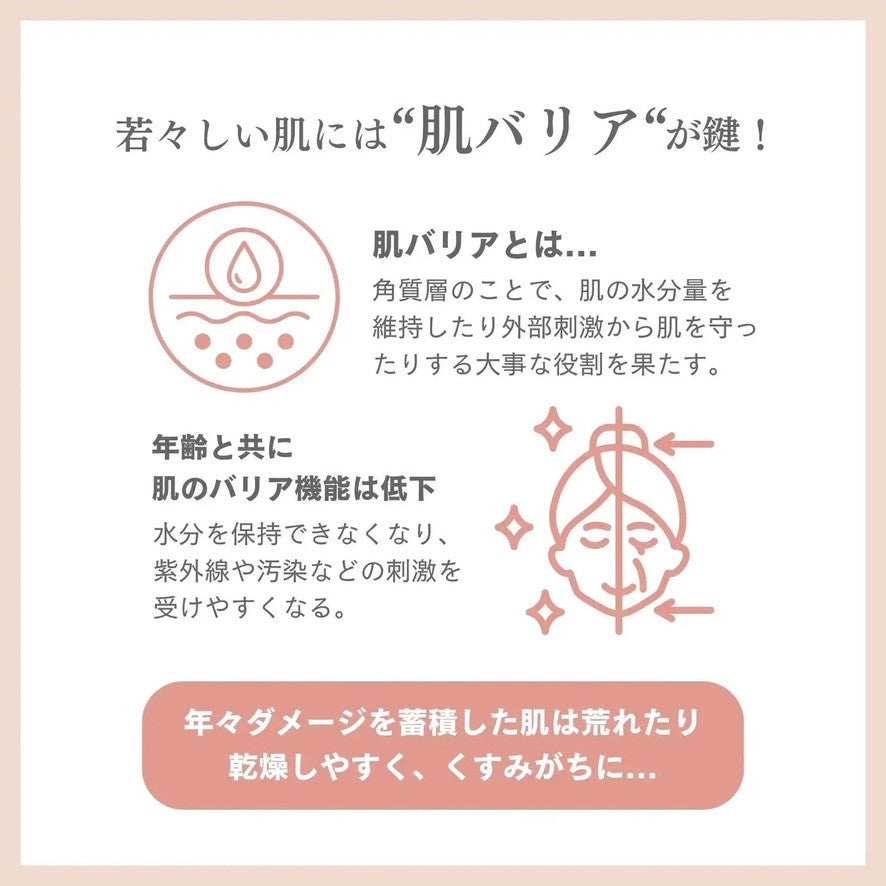 角質層の肌バリアと乾燥についての説明
