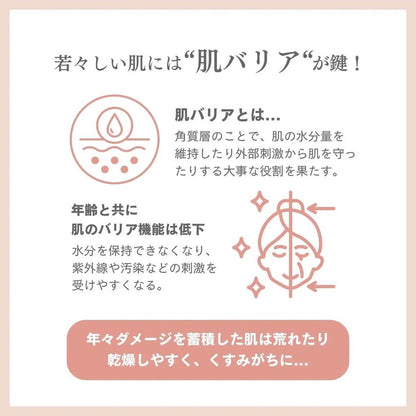 角質層の肌バリアと乾燥についての説明
