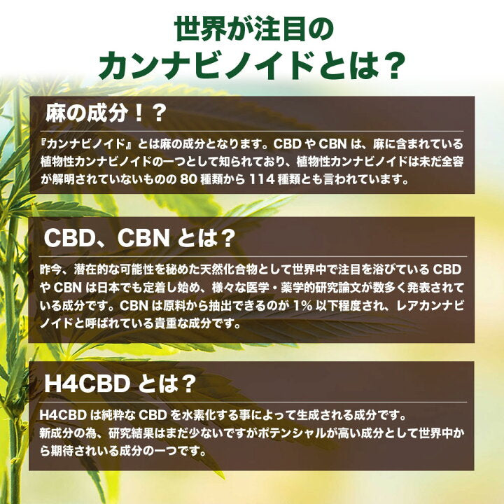 【AZTEC】H4CBD80% カートリッジ 0.5ml